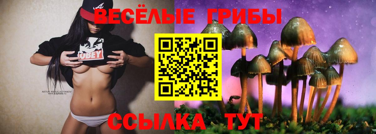 Псилоцибиновые грибы Magic Shrooms  Псилоцибиновые грибы мухоморы  Вход с VPN  Дивногорск 